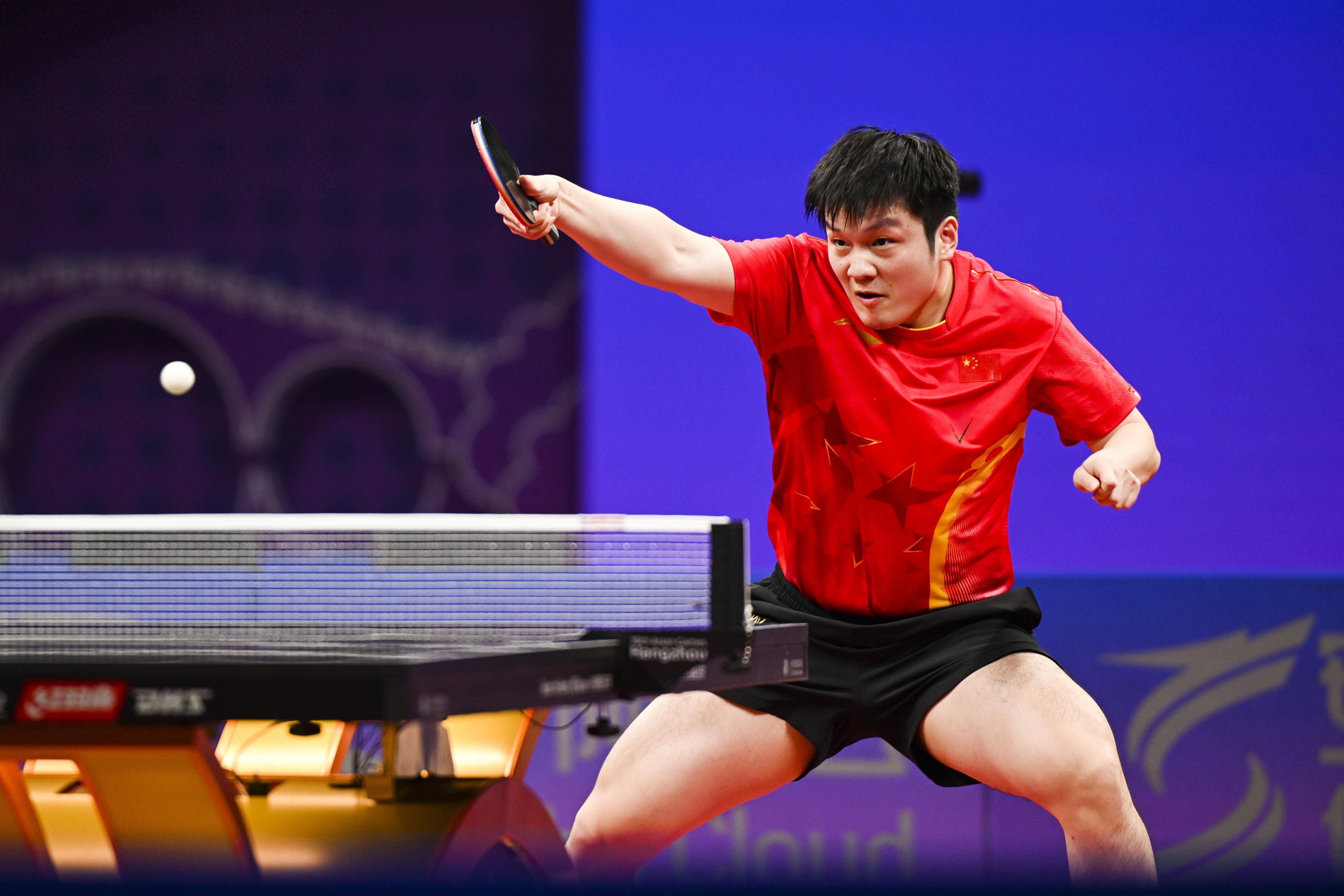 开云体育入口-波兰乒乓球队强势法国乒乓球队，樊振东惊艳世界的简单介绍