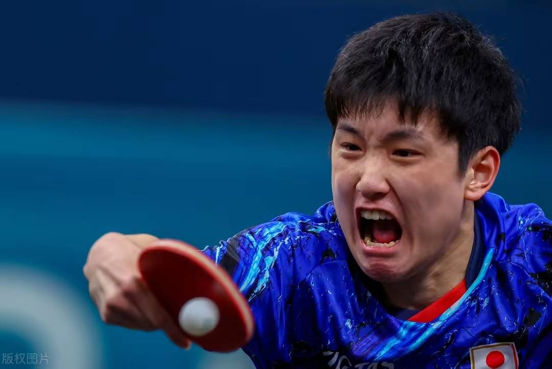 包含德国乒乓球队横扫比利时乒乓球队，张本智和关键制胜的词条