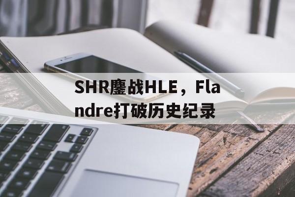 开云体育在线-SHR鏖战HLE，Flandre打破历史纪录的简单介绍